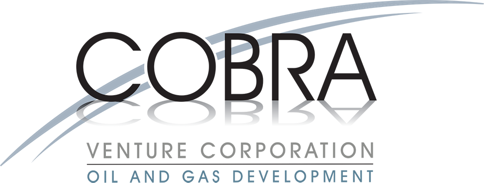 Cobra Venture Corporation Logo