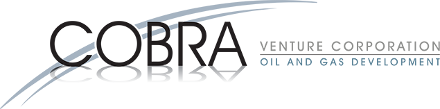 Cobra Venture Corporation Logo